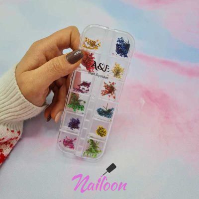 دیزاین گل خشک روسی flowerdesignnail